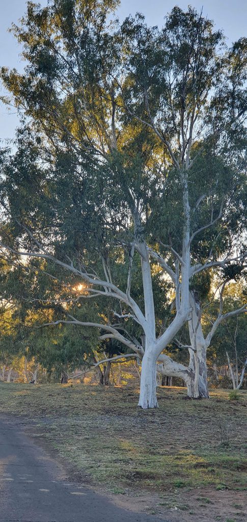 Gallery | Travelling Around Australia with Jeff Banks