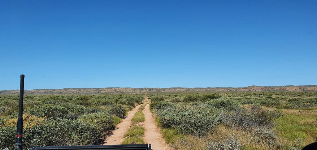 Travel Around Oz