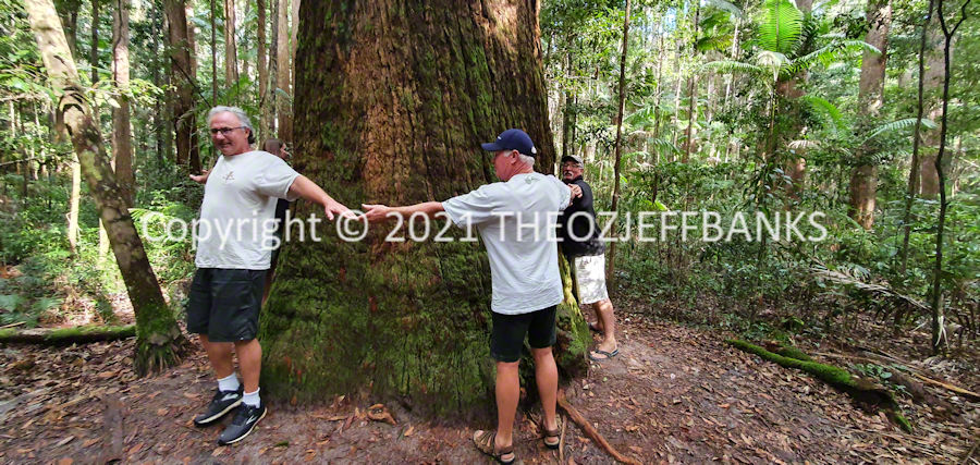 Here We Go Again - Chapter 10 - Hervey Bay Day 3 (Fraser Island) | Travelling Around Australia with Jeff Banks