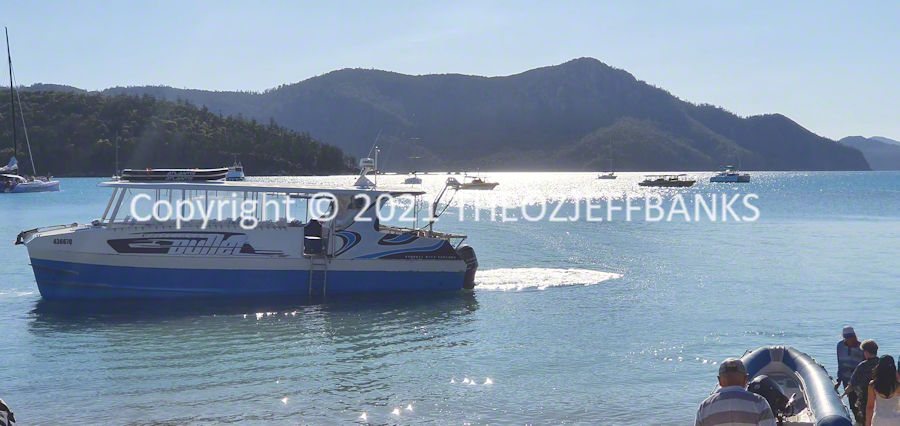 Here We Go Again - Chapter 29 - Airlie Beach Day 5 | Travelling Around Australia with Jeff Banks