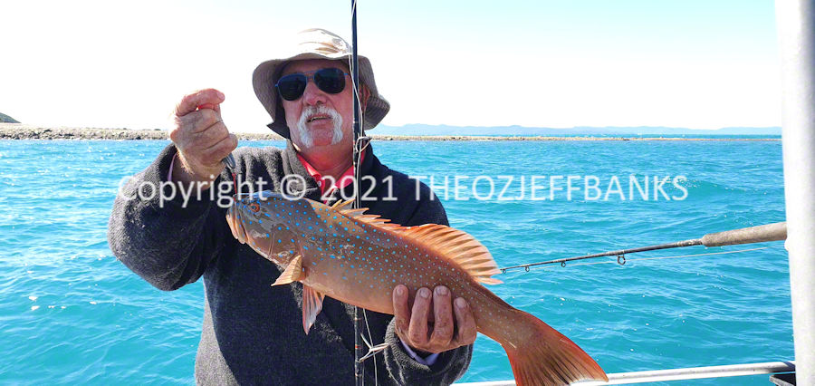 Here We Go Again - Chapter 28 - Airlie Beach Day 4 | Travelling Around Australia with Jeff Banks