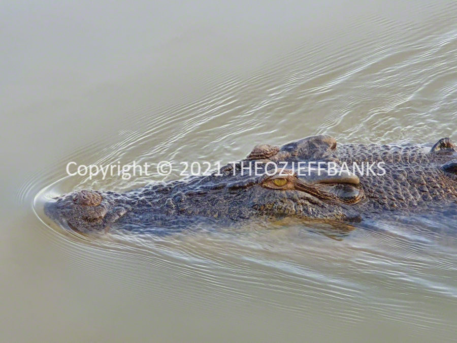 Around Oz the First Time - Chapter 18 - Another Day in Kakadu | Travelling Around Australia with Jeff Banks
