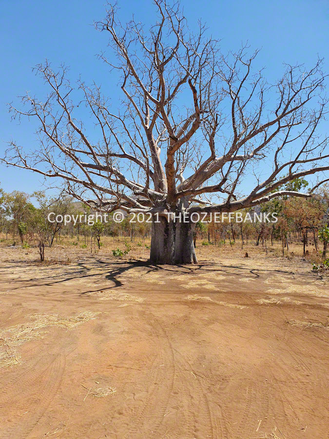 Around Oz the First Time - Chapter 33 - Kununurra Day 2 | Travelling Around Australia with Jeff Banks