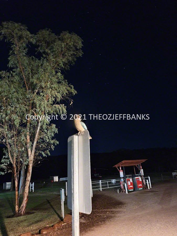 Around Oz the First Time - Chapter 37 - El Questro Day 3 | Travelling Around Australia with Jeff Banks
