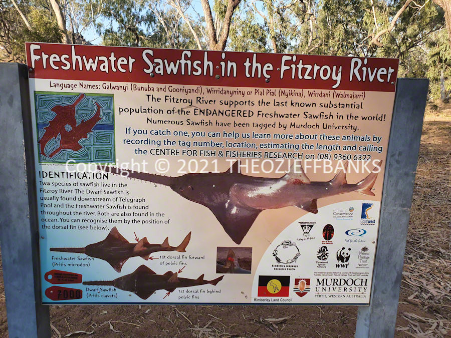 Around Oz the First Time - Chapter 46 - Halls Creek to Fitzroy Crossing | Travelling Around Australia with Jeff Banks