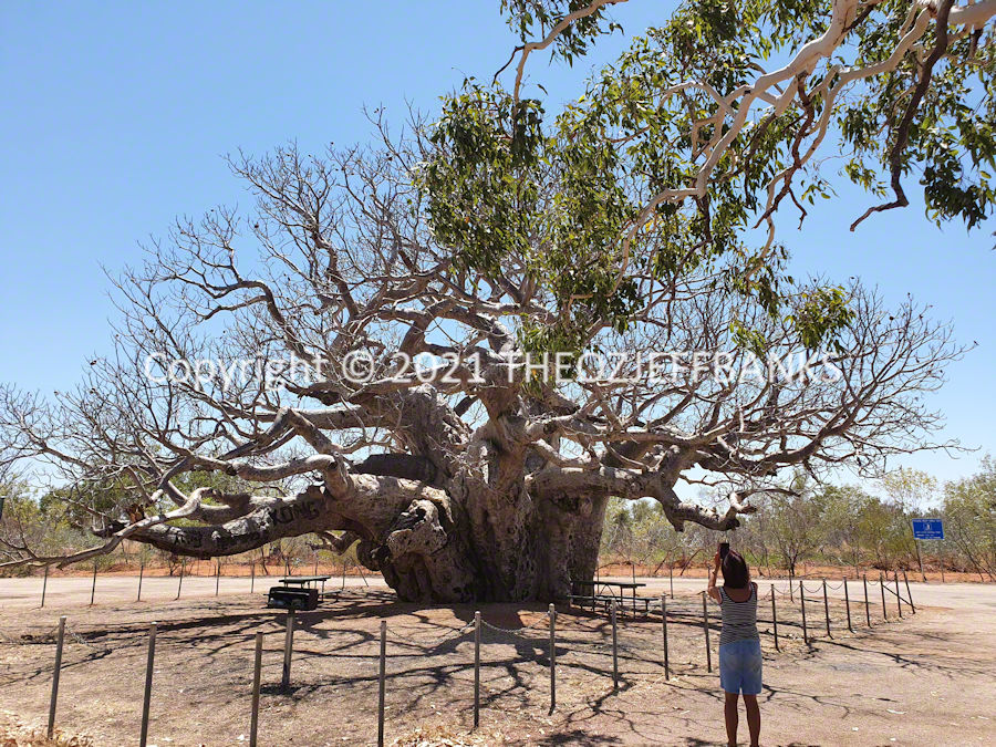 Around Oz the First Time - Chapter 47 - Fitzroy Crossing to Broome | Travelling Around Australia with Jeff Banks