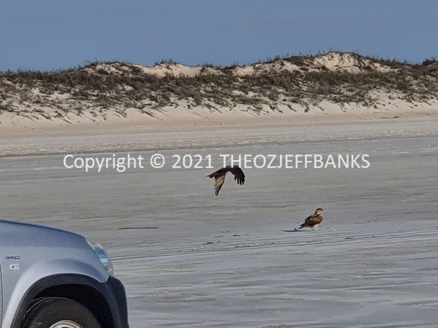 Around Oz the First Time - Chapter 53 - Broome Day 5 | Travelling Around Australia with Jeff Banks