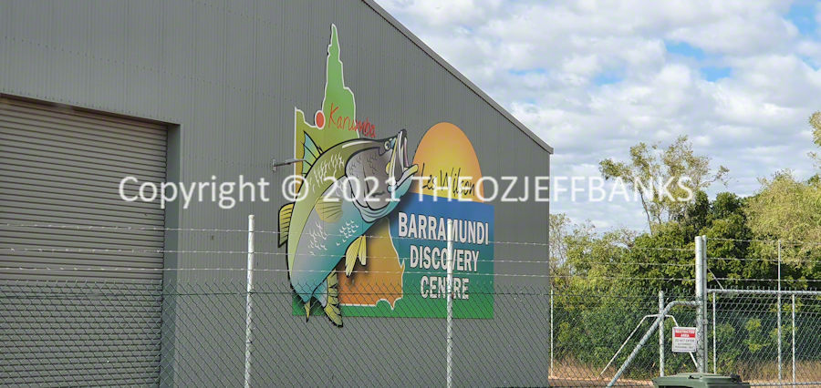 Here We Go Again - Chapter 42 - Karumba Day 2 | Travelling Around Australia with Jeff Banks