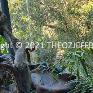 HWGACh7-27 | Travelling Around Australia with Jeff Banks