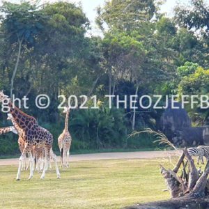 HWGACh7-32 | Travelling Around Australia with Jeff Banks