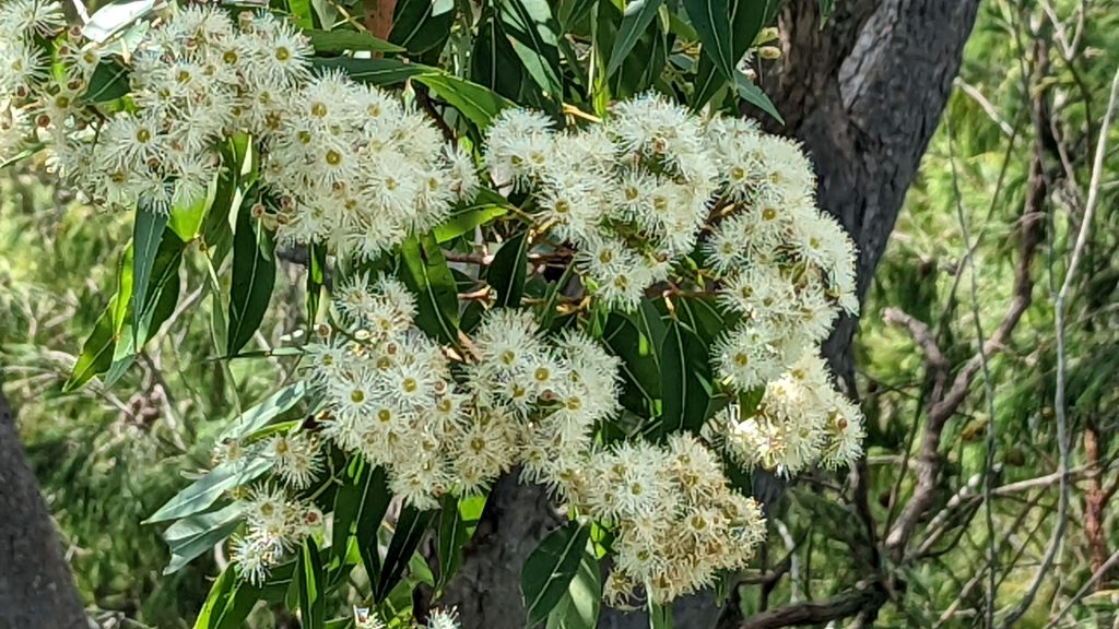 The Long Way Home - Chapter 1 - New Years Day in Rockhampton | Travelling Around Australia with Jeff Banks