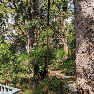 LWHCh-49 | Travelling Around Australia with Jeff Banks