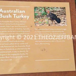 LWHCh01-38 | Travelling Around Australia with Jeff Banks