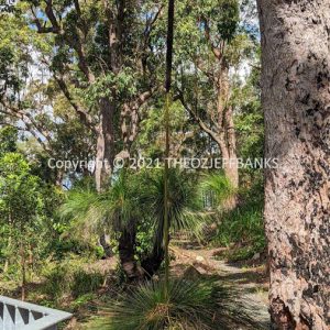 LWHCh01-49 | Travelling Around Australia with Jeff Banks