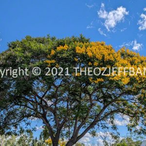 LWHCh02-03F | Travelling Around Australia with Jeff Banks