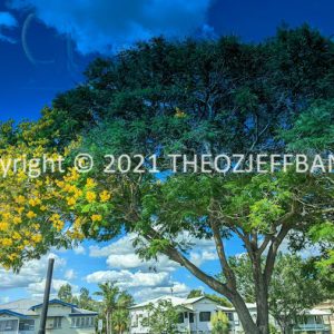 LWHCh02-04F | Travelling Around Australia with Jeff Banks