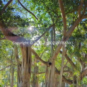 LWHCh02-32 | Travelling Around Australia with Jeff Banks