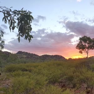 ROzCh10-102S | Travelling Around Australia with Jeff Banks