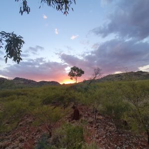 ROzCh10-105S | Travelling Around Australia with Jeff Banks
