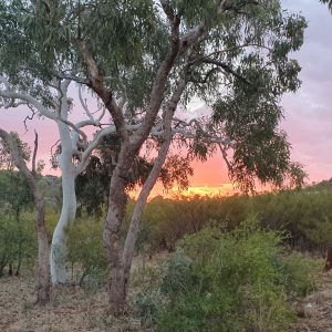 ROzCh10-107C | Travelling Around Australia with Jeff Banks