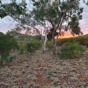 ROzCh10-108C | Travelling Around Australia with Jeff Banks