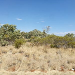 ROzCh10-52 | Travelling Around Australia with Jeff Banks