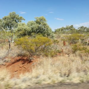 ROzCh10-53 | Travelling Around Australia with Jeff Banks