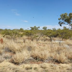 ROzCh10-57 | Travelling Around Australia with Jeff Banks