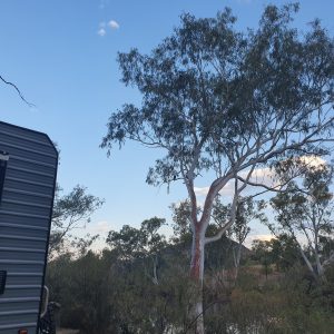 ROzCh10-81 | Travelling Around Australia with Jeff Banks