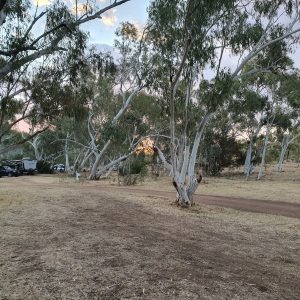ROzCh10-84 | Travelling Around Australia with Jeff Banks