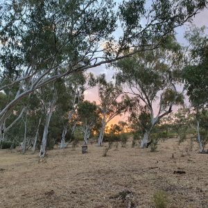 ROzCh10-86S | Travelling Around Australia with Jeff Banks