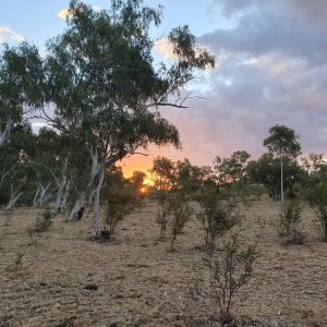 ROzCh10-87S | Travelling Around Australia with Jeff Banks