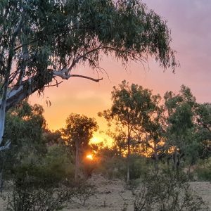ROzCh10-88S | Travelling Around Australia with Jeff Banks