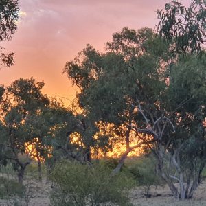 ROzCh10-89S | Travelling Around Australia with Jeff Banks