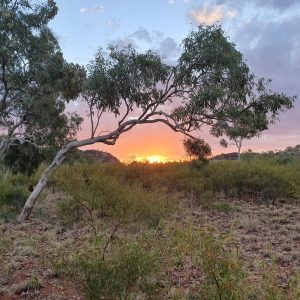 ROzCh10-94S | Travelling Around Australia with Jeff Banks