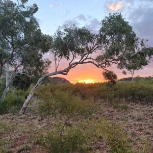 ROzCh10-95S | Travelling Around Australia with Jeff Banks