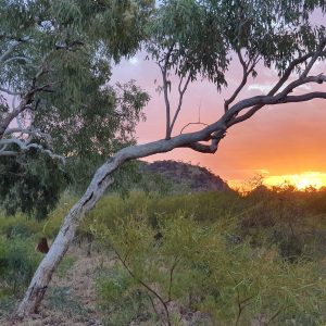 ROzCh10-97S | Travelling Around Australia with Jeff Banks