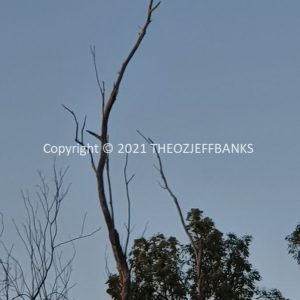 ROzCh12-08 | Travelling Around Australia with Jeff Banks