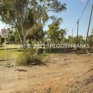 ROzCh12-51 | Travelling Around Australia with Jeff Banks