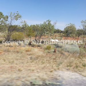 ROzCh12-62 | Travelling Around Australia with Jeff Banks