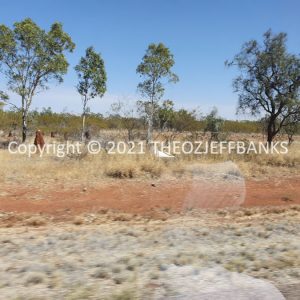 ROzCh12-64 | Travelling Around Australia with Jeff Banks