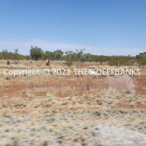 ROzCh12-65 | Travelling Around Australia with Jeff Banks