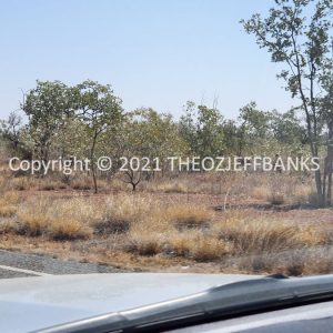 ROzCh12-66 | Travelling Around Australia with Jeff Banks