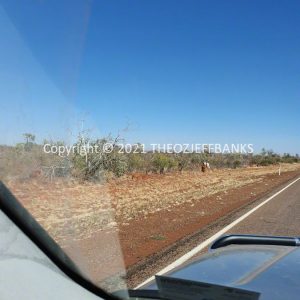 ROzCh13-28 | Travelling Around Australia with Jeff Banks
