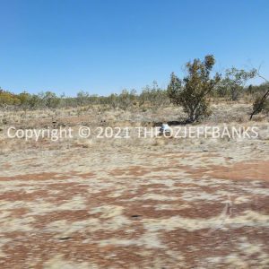 ROzCh13-58 | Travelling Around Australia with Jeff Banks
