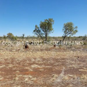 ROzCh13-60 | Travelling Around Australia with Jeff Banks