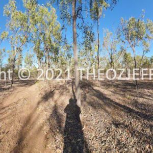 ROzCh15-03P | Travelling Around Australia with Jeff Banks