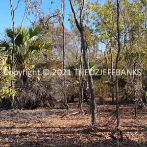 ROzCh15-04 | Travelling Around Australia with Jeff Banks