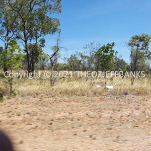 ROzCh16-38 | Travelling Around Australia with Jeff Banks