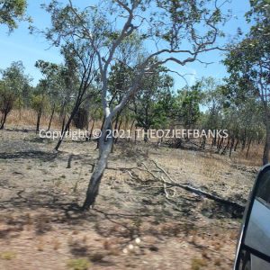 ROzCh16-44 | Travelling Around Australia with Jeff Banks